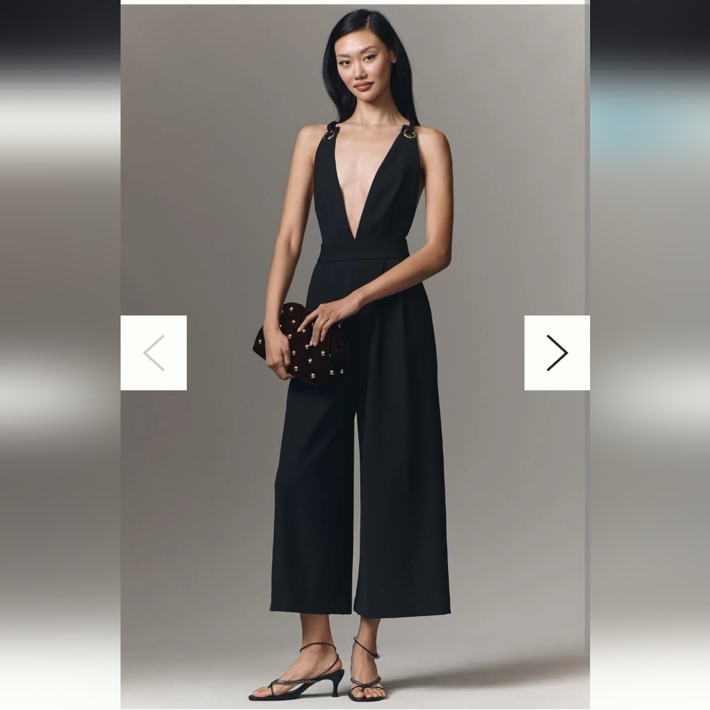 NWT Maeve Sleeveless Deep-V Wide-Leg Jumpsuit Sz 4 or 6